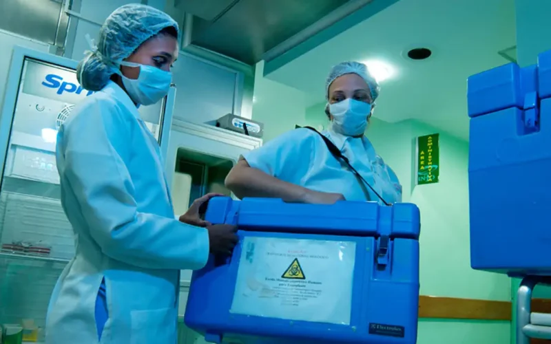 Brasil quebra recorde com 31 mil transplantes em 2025