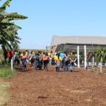 Emater-DF leva circuito de fruticultura sustentável à AgroBrasília 2026