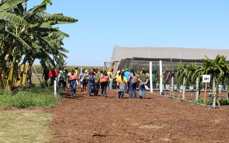 Emater-DF leva circuito de fruticultura sustentável à AgroBrasília 2026