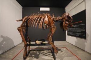 Museu do Zoo de Brasília reabre com roteiro interativo e acessível