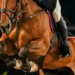 Candangão 2026: hipismo brasiliense se prepara para maior evento do ano