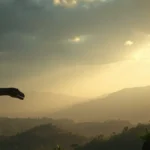 O legado de Jurassic Park no cinema de ficção científica atual
