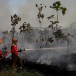 El Niño pode ser um dos maiores já registrados, alerta agência dos EUA