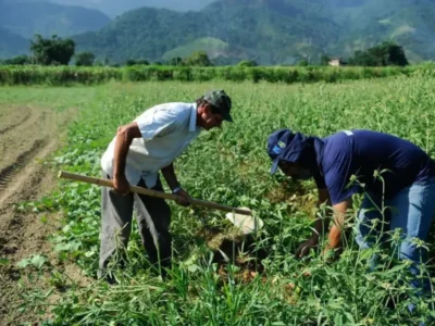 DF orienta sobre regularização de área rural