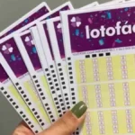 Lotofácil 3741: aposta única leva R$ 14,2 milhões