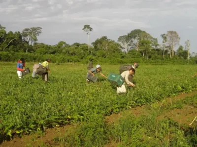 Agricultor familiar: o herói anônimo do DF