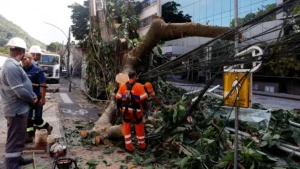 Rede elétrica resiliente: especialistas pedem investimento