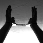 Brasileiros presos na Islândia após ato contra caça de baleias